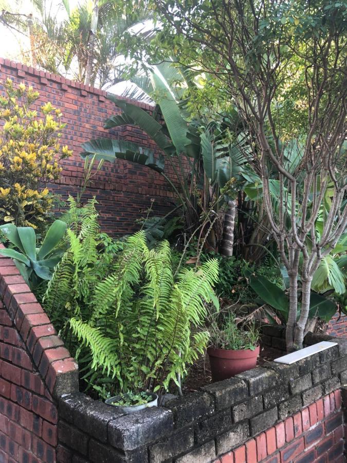 Modern Rustic Durban Apartment 外观 照片
